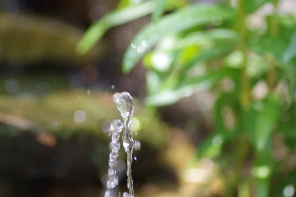 Macro Shot Dropping Water — Stock Photo, Image