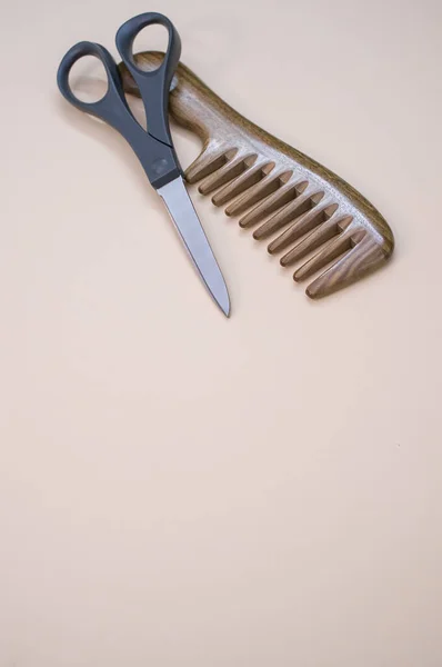 Вертикальний Знімок Пензлика Ножиць Звичайному Тлі — стокове фото