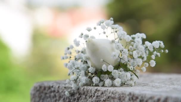 Gros Plan Corsage Fleurs Blanches Sur Une Surface Béton — Video