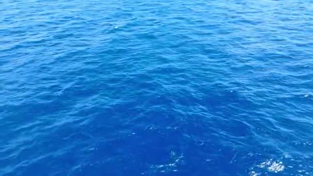 日光下蓝色波浪形海洋背景的4K片断 — 图库视频影像