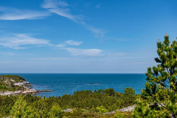 背景の海と自然の風景のクローズアップショット — ストック写真