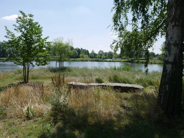 Une Belle Vue Sur Rivière Entourée Plantes Arbres Champ Par — Photo