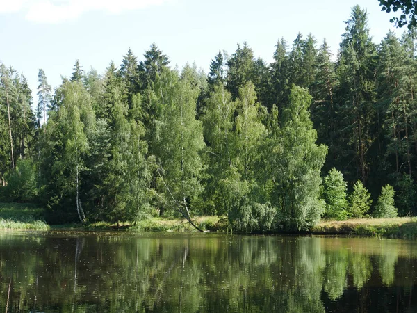 Utsikt Över Floden Omgiven Gräs Träd Och Fält Solig Dag — Stockfoto