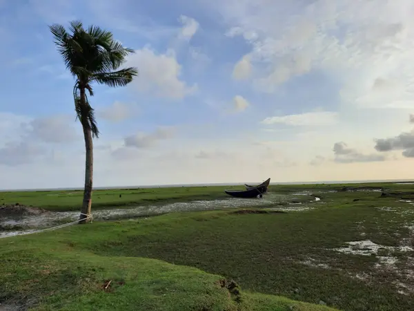 Grand Arbre Bateau Amarrés Ruisseau Près Champ — Photo