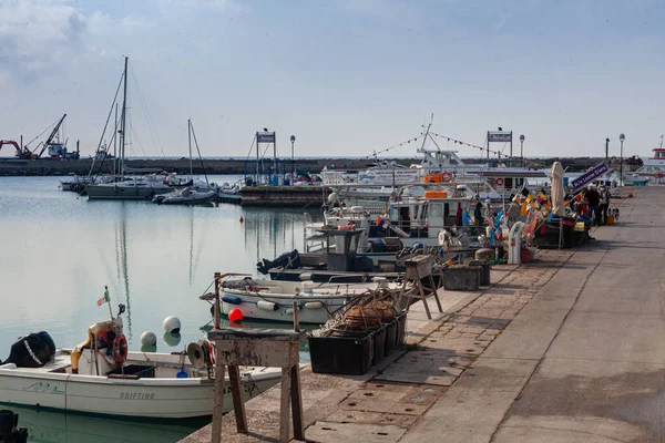 Numana Italia Giu 2021 Molo Dei Pescatori Pesce Fresco Selvatico — Foto Stock