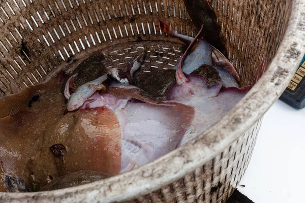 Numana Itália Jun 2021 Doca Dos Pescadores Peixes Frescos Selvagens — Fotografia de Stock