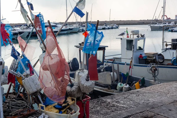 Ньяна Италия Июня 2021 Года Фиолетовой Пристани Дикая Свежая Рыба — стоковое фото