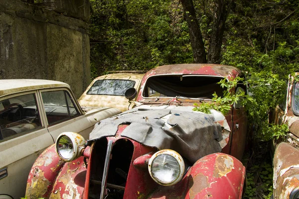 Una Vecchia Auto Epoca Nel Parco — Foto Stock