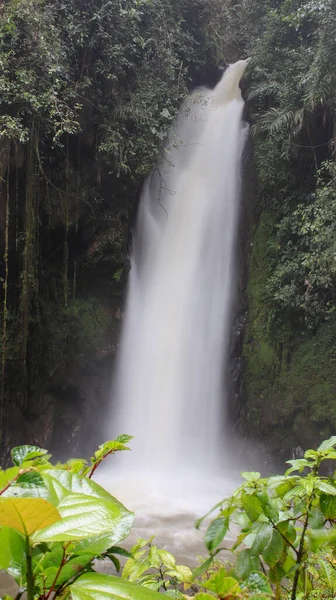 Una Hermosa Toma Una Cascada Bosque —  Fotos de Stock