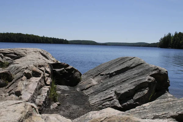 Rotsachtige Kust Van Een Blauw Meer Rivier Achtergrond Van Bomen — Stockfoto