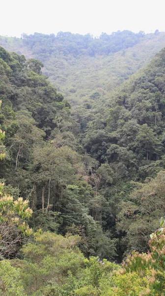 Sebuah Gambar Indah Dari Bukit Hijau — Stok Foto