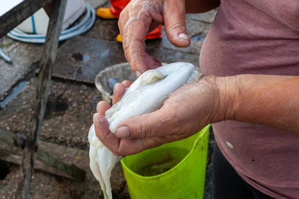 Numana Italia 2021 Muelle Pescadores Pescado Fresco Los Mariscos Silvestres — Foto de Stock