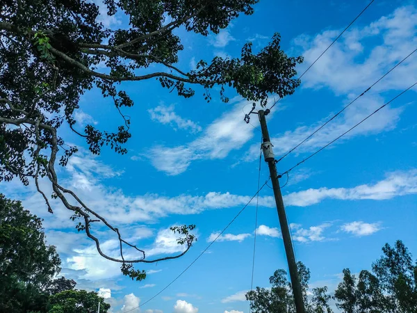 Las Siluetas Los Árboles Los Pilares Eléctricos Contra Cielo Azul — Foto de Stock