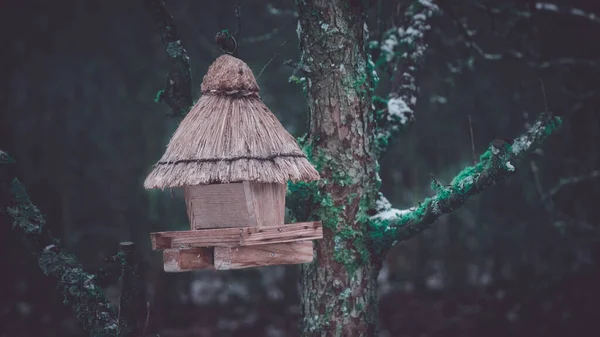 Uma Pequena Casa Pássaros Galho Árvore — Fotografia de Stock