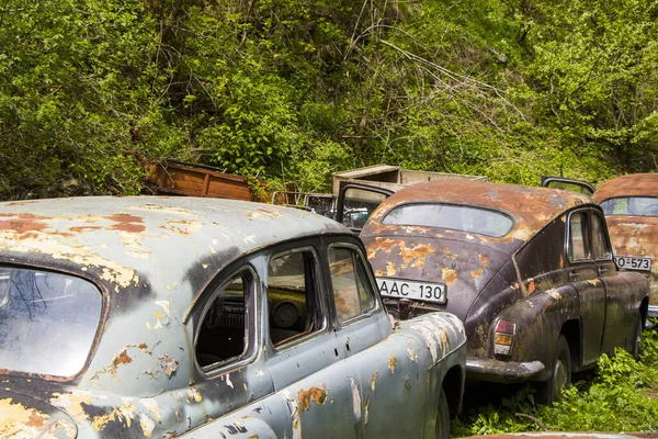 Muitos Carros Antigos Vintage Parque — Fotografia de Stock