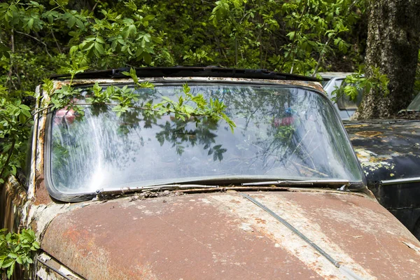 Una Vecchia Auto Epoca Nel Parco — Foto Stock