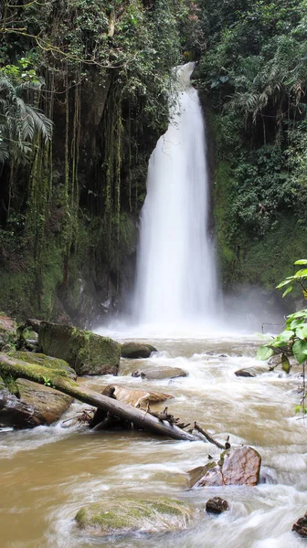 Bel Colpo Cascata Nella Foresta — Foto Stock