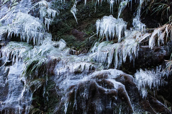 Primer Plano Naturaleza Congelada Con Carámbanos Brasil — Foto de Stock