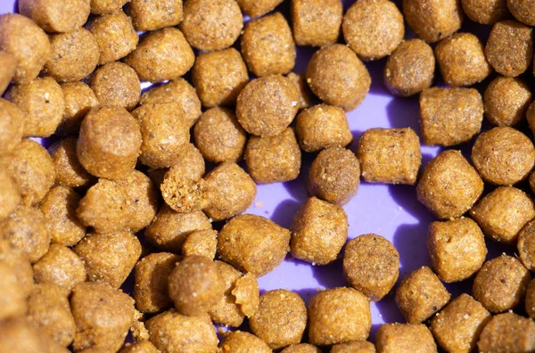 Top View Cat Food Bowl — Stock Photo, Image