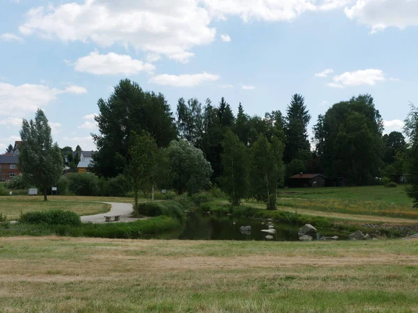 Una Vista Sul Fiume Circondato Erba Alberi Campi Una Giornata — Foto Stock