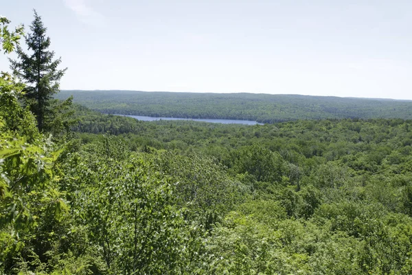 Lac Une Rivière Bleu Entouré Forêts Denses Vertes Dans Parc — Photo