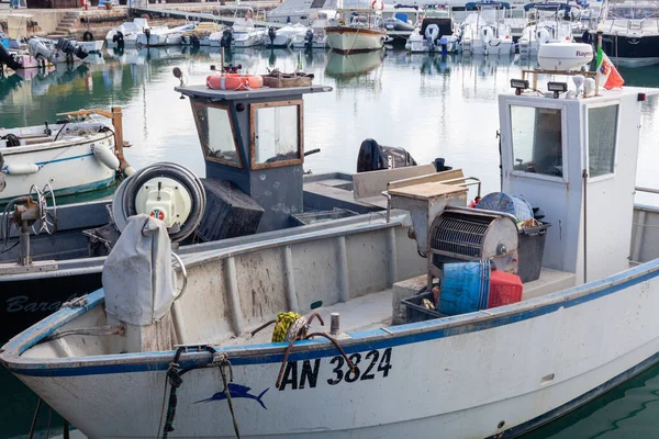 Numana Itálie Červen 2021 Rybářském Doku Volně Žijící Čerstvé Ryby — Stock fotografie