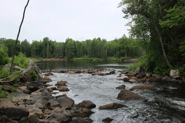 Une Rivière Rocheuse Entourée Arbres Verts Denses Sous Ciel Clair — Photo