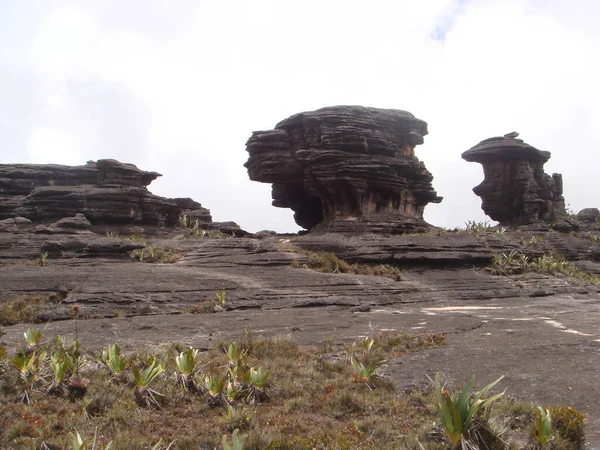 Les Nombreuses Formations Pierre Sur Sentier Escalade Mont Roraima Venezuela — Photo