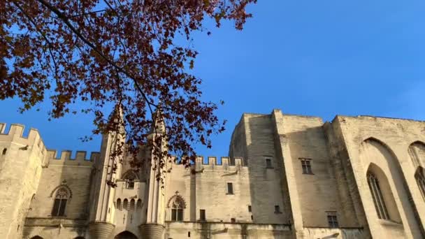 Metraje Del Palais Des Papes Aviñón Francia Bajo Cielo Azul — Vídeos de Stock