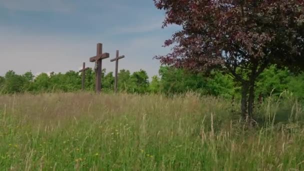 Strzał Trzech Drewnianych Krzyży Zielonym Trawiastym Polu Drzewami Pod Niebieskim — Wideo stockowe