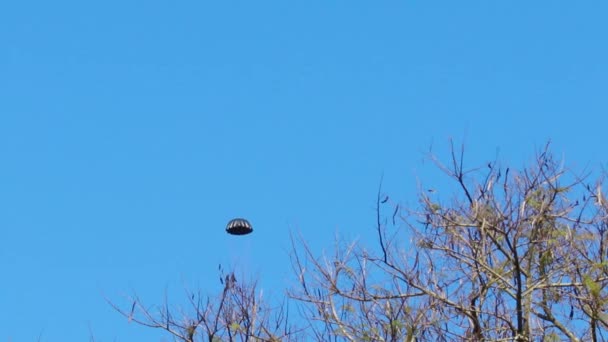 Küçük Siyah Bir Paraşütün Mavi Gökyüzüne Inişini Gösteren Görüntüsü — Stok video