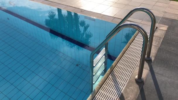 Metraje Una Piscina Tranquila Con Reflejo Palmera Superficie — Vídeos de Stock