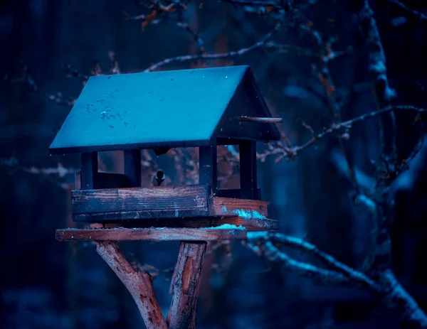 Een Dichtbij Shot Van Een Vogelhuis Een Besneeuwd Woud — Stockfoto