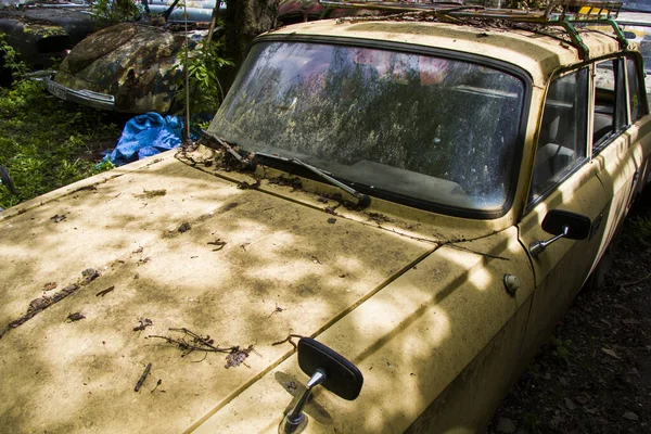 公園の古いヴィンテージ車 — ストック写真