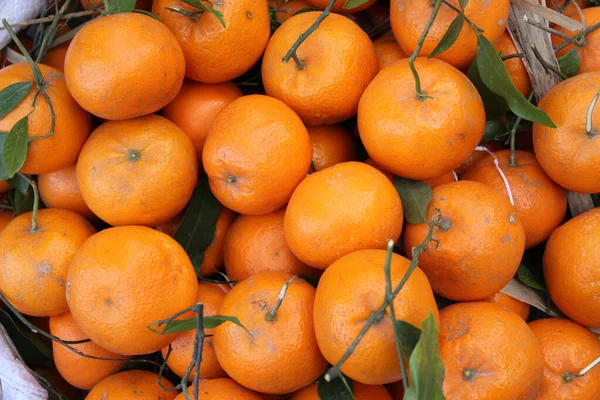 Una Pila Mandarini Succosi Appena Raccolti — Foto Stock