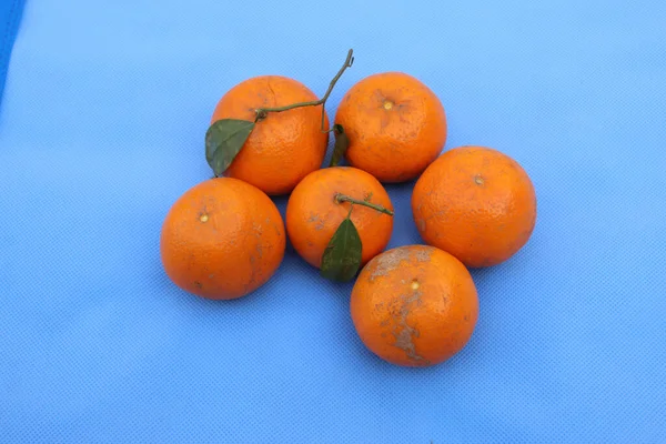 Een Close Van Zes Mandarijnen Het Blauwe Oppervlak — Stockfoto