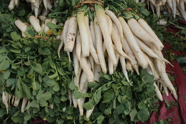 Verse Hopen Verse Daikon Radijs Markt — Stockfoto