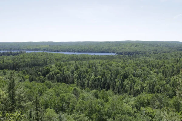 Lac Une Rivière Bleu Entouré Forêts Denses Vertes Dans Parc — Photo