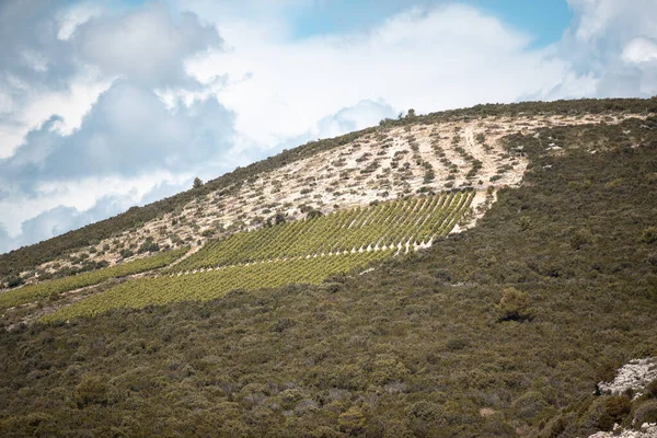 Uma Encosta Montanhosa Com Plantas Terras Cultivadas Sob Nuvens Dalamátia — Fotografia de Stock