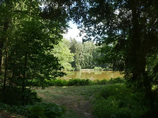 Blick Auf Den Fluss Umgeben Von Gras Bäumen Und Feldern — Stockfoto