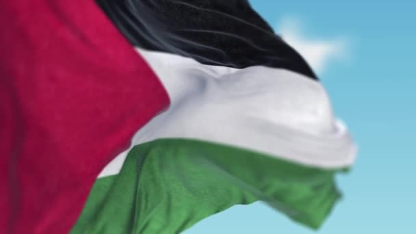 Bandeira Nacional Palestina Mastro Bandeira Acenando Vento Fundo Céu Azul — Vídeo de Stock