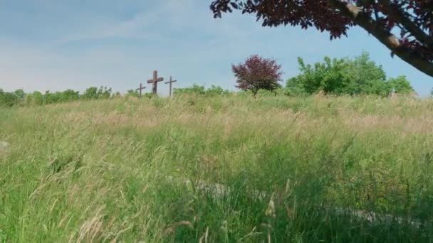 Strzał Trzech Drewnianych Krzyży Zielonym Trawiastym Polu Drzewami Pod Niebieskim — Wideo stockowe