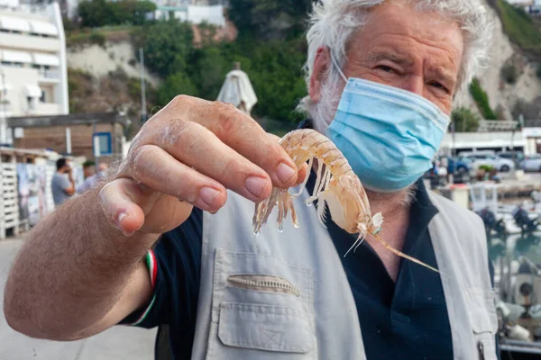 Numana Italia 2021 Muelle Pescadores Pescado Fresco Los Mariscos Silvestres — Foto de Stock