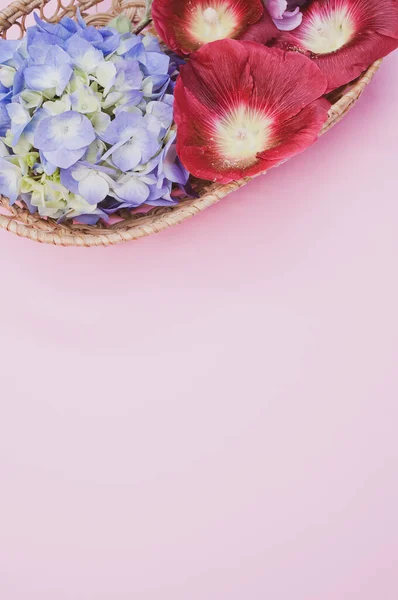 ピンクの背景に小さなバスケットに明るい花のスタジオショット — ストック写真