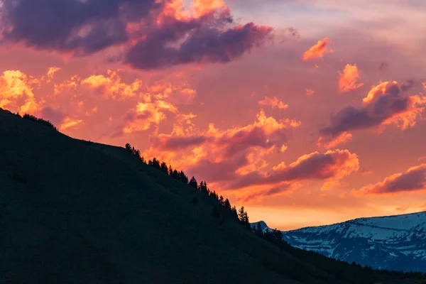 Silhuetter Skogsklädda Berg Den Rosa Himlen — Stockfoto