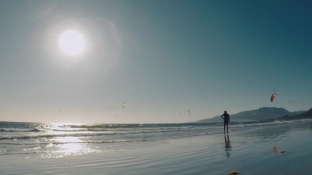 スペインのTarifaの砂浜で日没時にカイトサーフィン — ストック動画