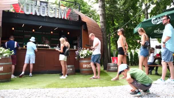 Güneşli Bir Günde Bar Boo Restoranının Açık Bölümünde Bira Alkol — Stok video