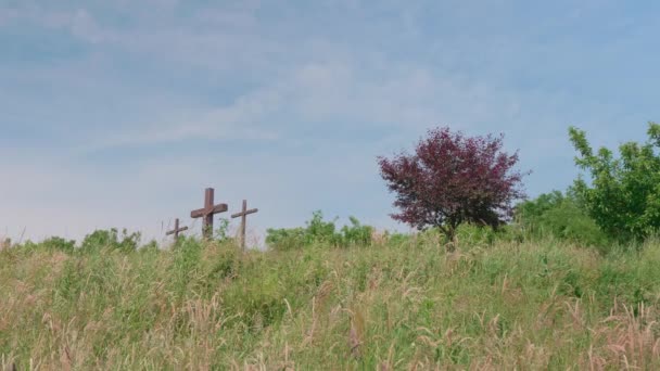 Plan Trois Croix Bois Dans Champ Herbeux Vert Avec Des — Video