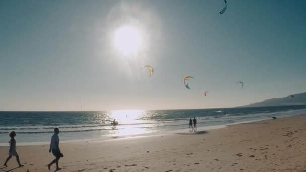 西班牙塔里法的沙滩上 夕阳西下的风筝冲浪 — 图库视频影像