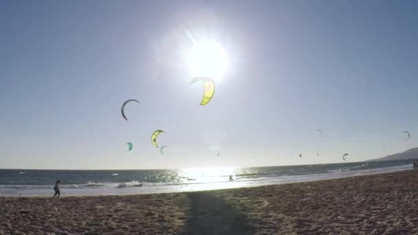 Kitesurfen Bij Zonsondergang Een Zandstrand Tarifa Spanje — Stockvideo